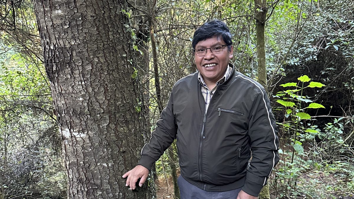 The First Carbon Offset